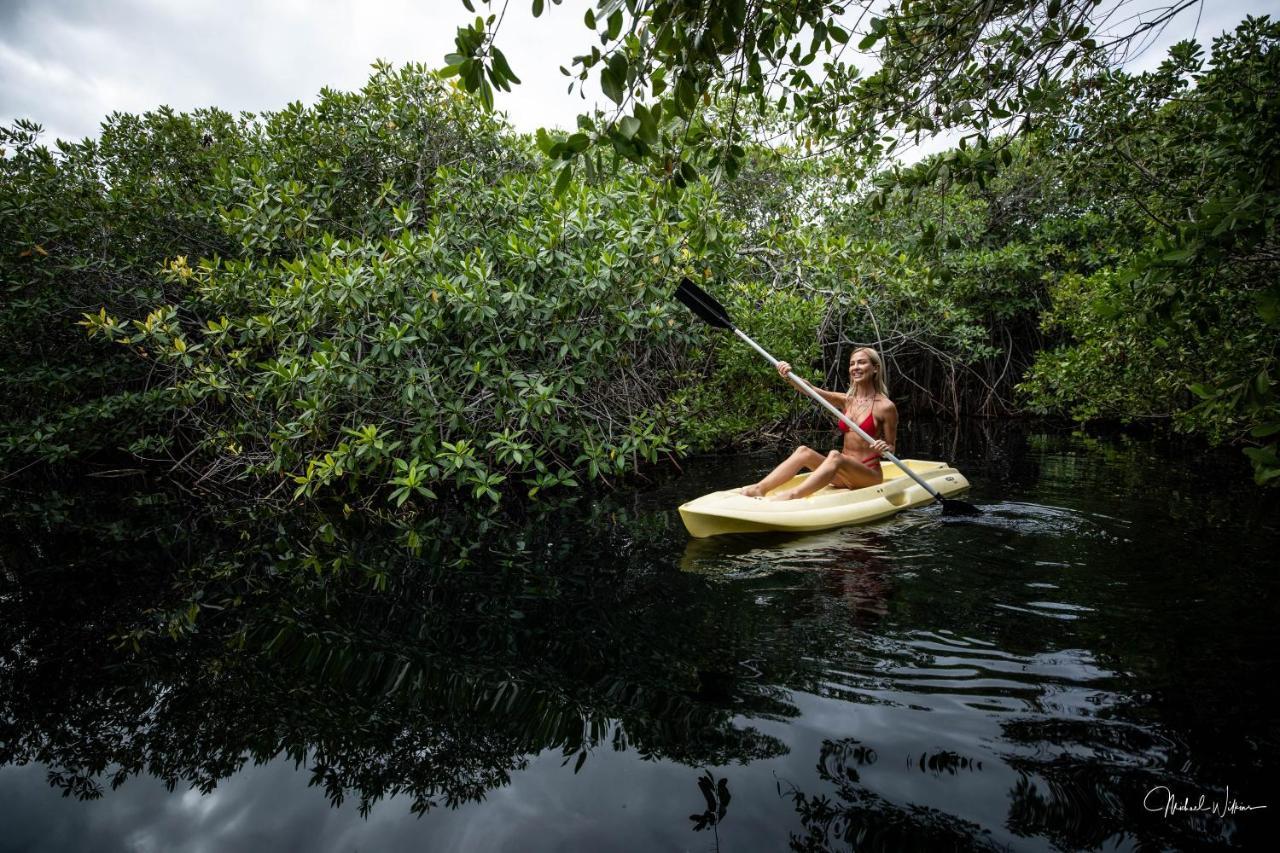 Manglex Eco Hotel Tulum Bagian luar foto
