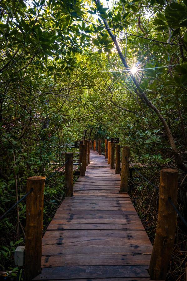 Manglex Eco Hotel Tulum Bagian luar foto