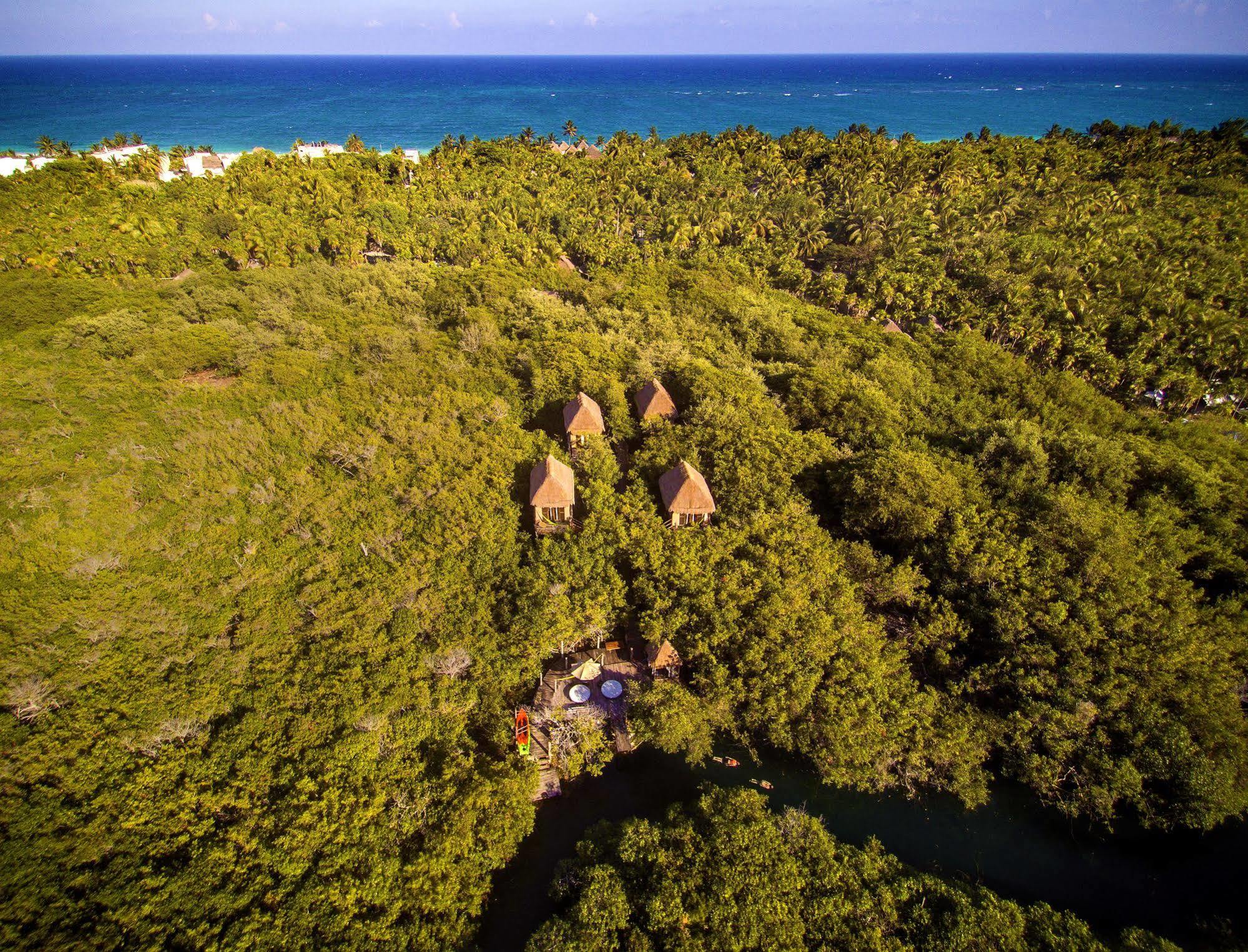 Manglex Eco Hotel Tulum Bagian luar foto