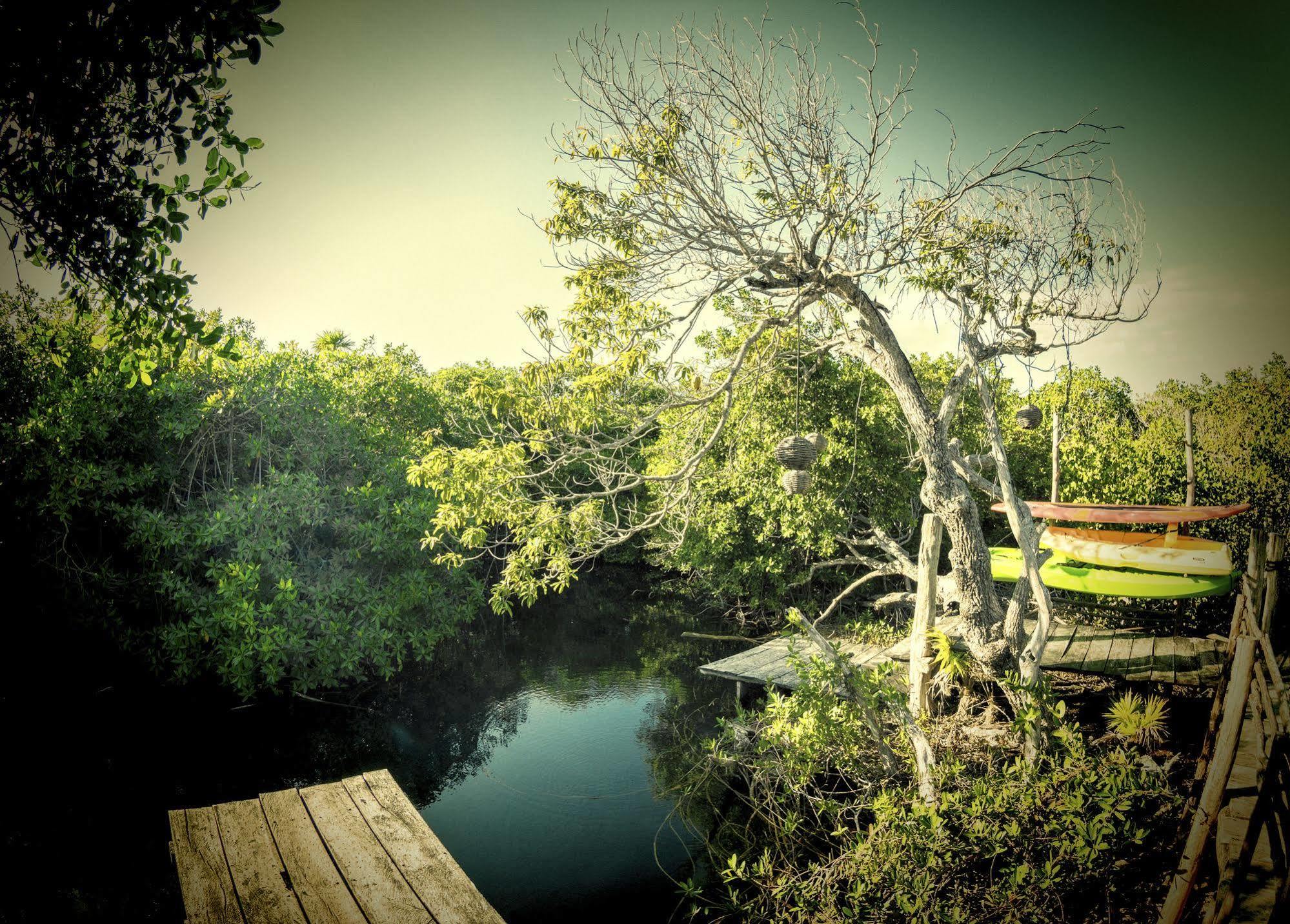 Manglex Eco Hotel Tulum Bagian luar foto