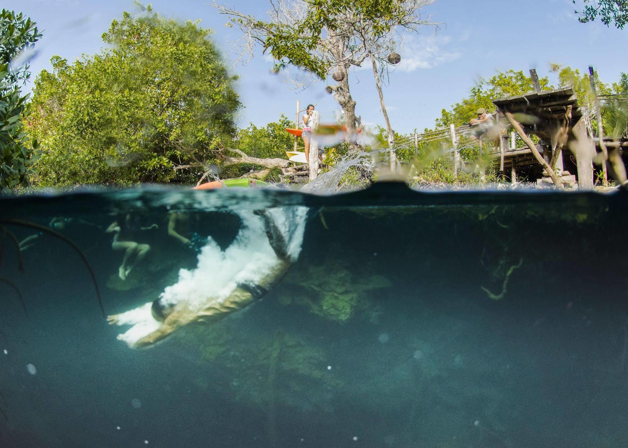 Manglex Eco Hotel Tulum Bagian luar foto