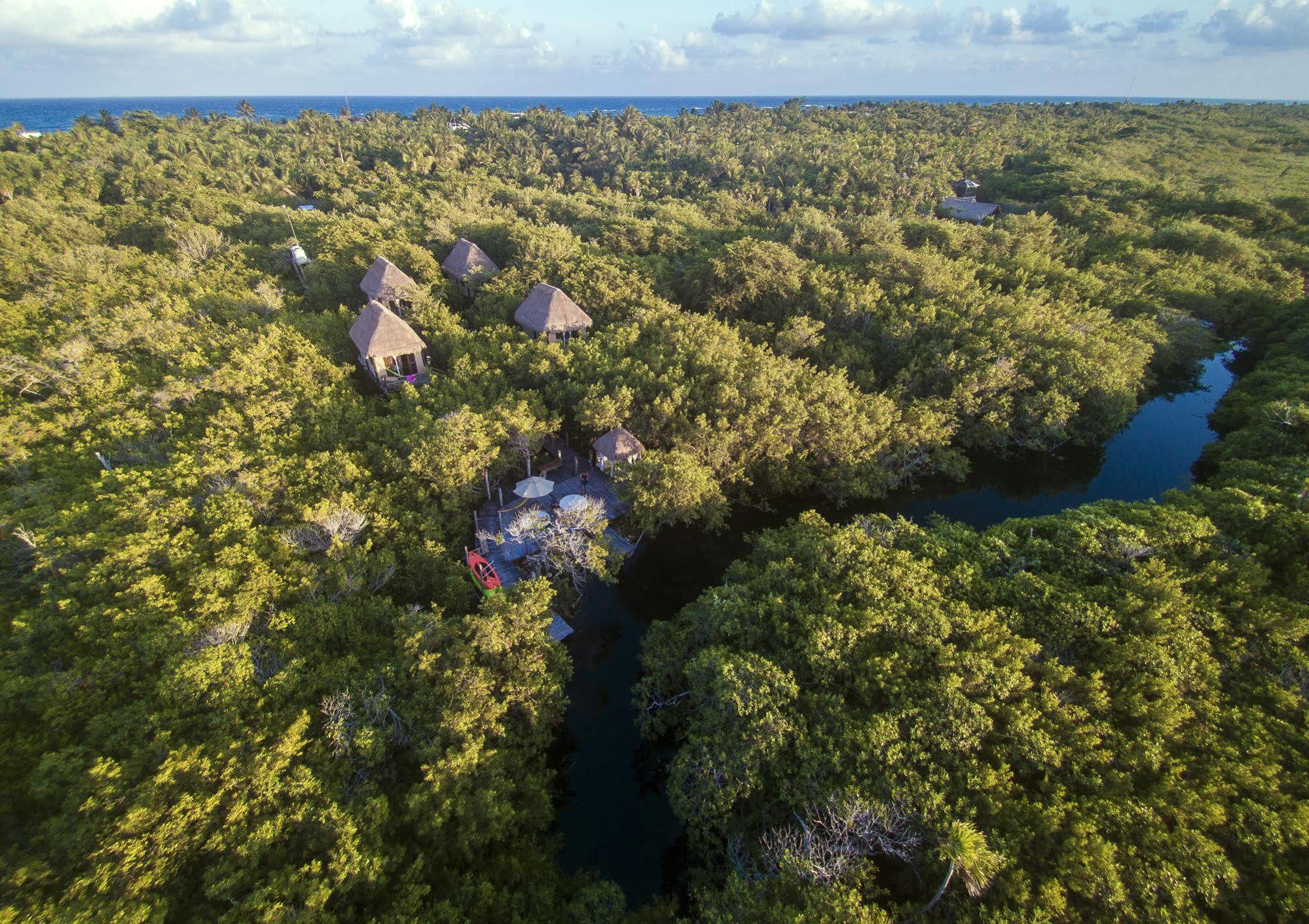 Manglex Eco Hotel Tulum Bagian luar foto