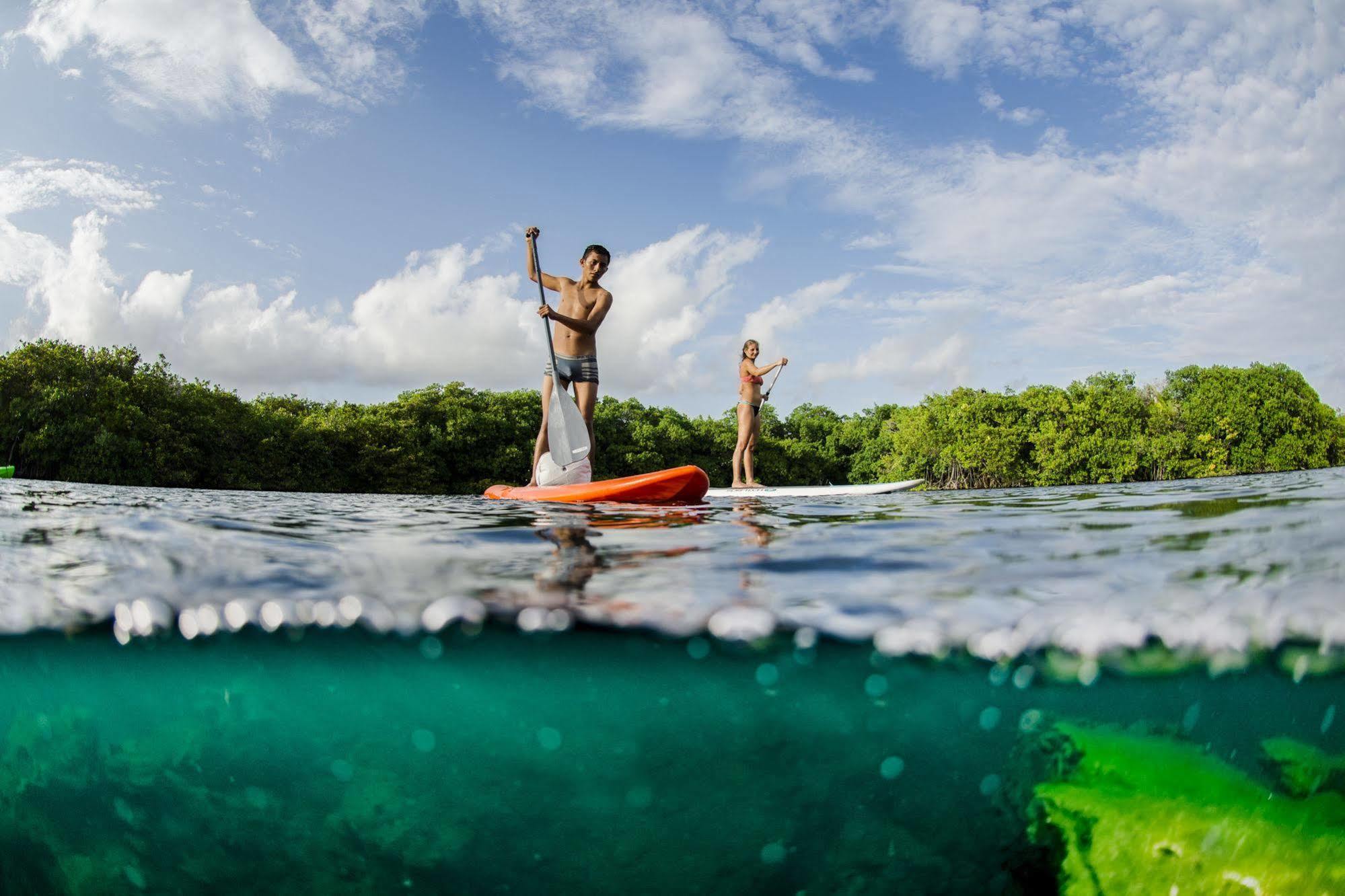 Manglex Eco Hotel Tulum Bagian luar foto