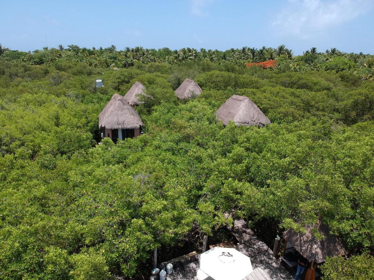 Manglex Eco Hotel Tulum Bagian luar foto